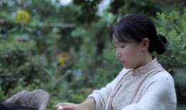 圈内爆料李子柒,田园生活背后的匠心独运